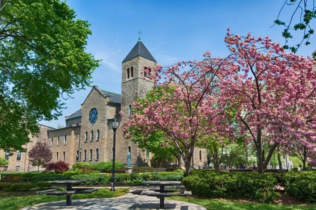 Counseling Programs offered at Niagara University