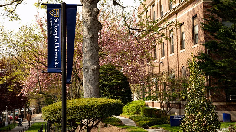 Counseling Programs offered at St. Joseph's University New York Counseling Programs offered at St. Joseph's University New York