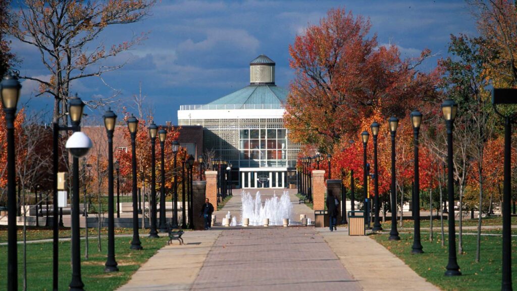 Counseling Programs offered at College of Staten Island