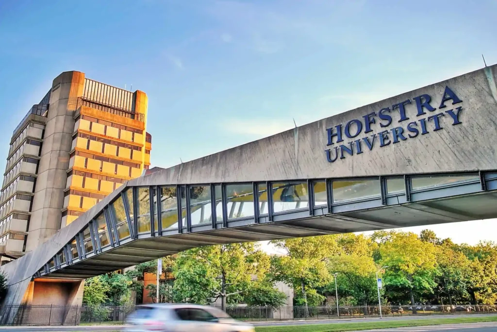 Counseling Programs offered at Hofstra University Counseling Programs offered at Hofstra University